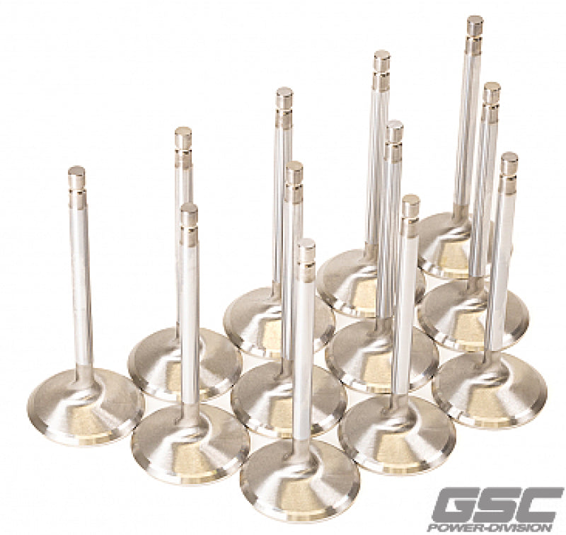 

GSC Power Division 2058-12 - GSC2058-12 - GSC P-D Nissan VR38DETT 38.15mm Head +1mm OS 94.95mm Long Flat Face Intake Valve - Set of 12 - Shipped in Europe - Tuningsupply.com
