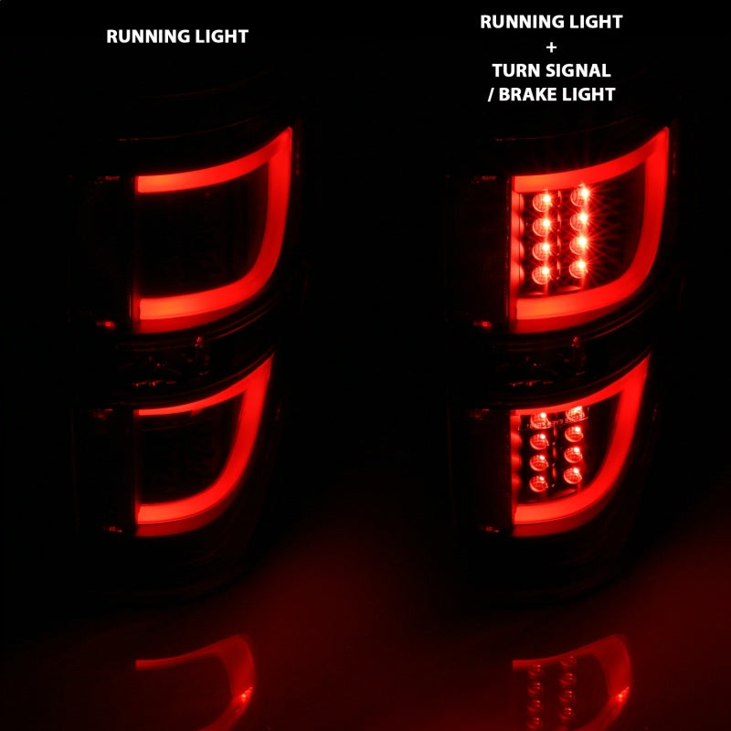 ANZO 2009-2013 Ford F-150 LED Taillights Black-tuningsupply.com