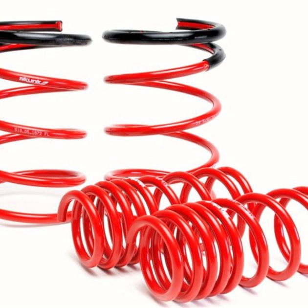 Skunk2 02-04 Acura RSX Lowering Springs (2.25in - 2.00in.) (Set of 4)-Lowering Springs-Skunk2 Racing-SKK519-05-1670-SMINKpower Performance Parts