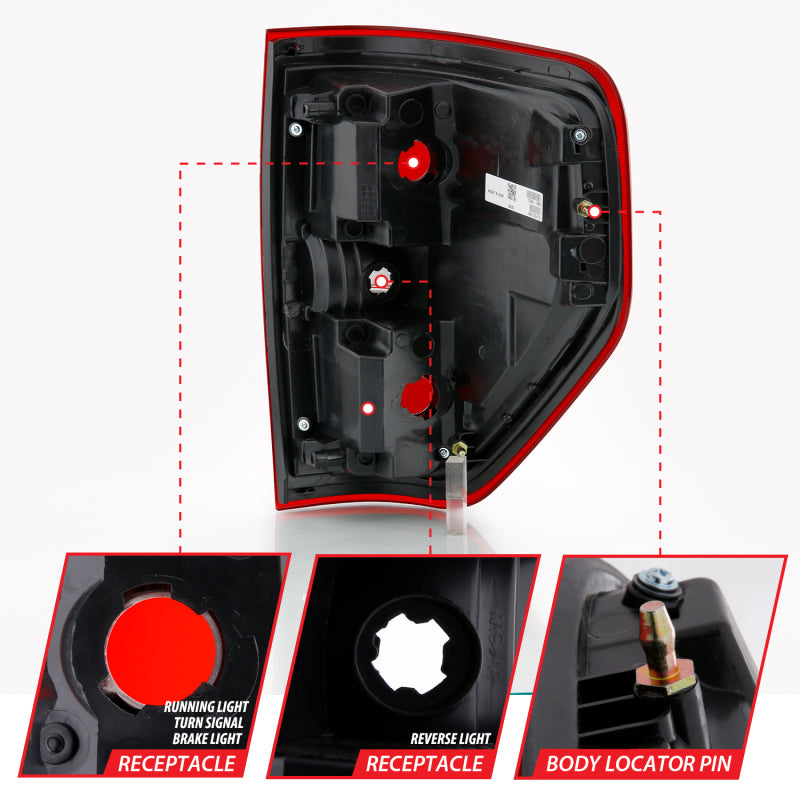 

ANZO 311299 - ANZ311299 - ANZO 2009-2014 Ford F-150 Euro Taillight Red/Clear (W/O Bulb) - Shipped in Europe - Tuningsupply.com
