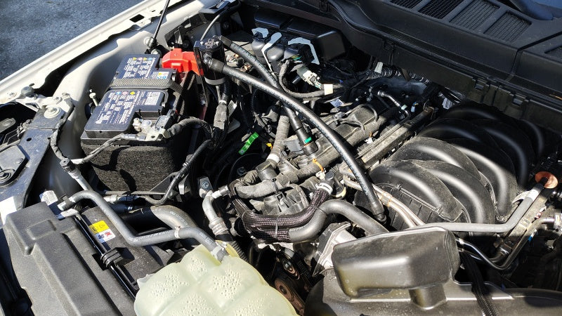 

J&L 3131P-B - JLT3131P-B - J&L 21-26 Ford F-150 5.0L Oil Separator 3.0 PCV Side - Black Anodized - Shipped in Europe - Tuningsupply.com
