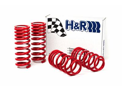 
  

H&R 51650-88 - HRS51650-88 - H&R 94-95 Ford Mustang/Mustang Cobra V8 Race Spring - Shipped in Europe - Tuningsupply.com

