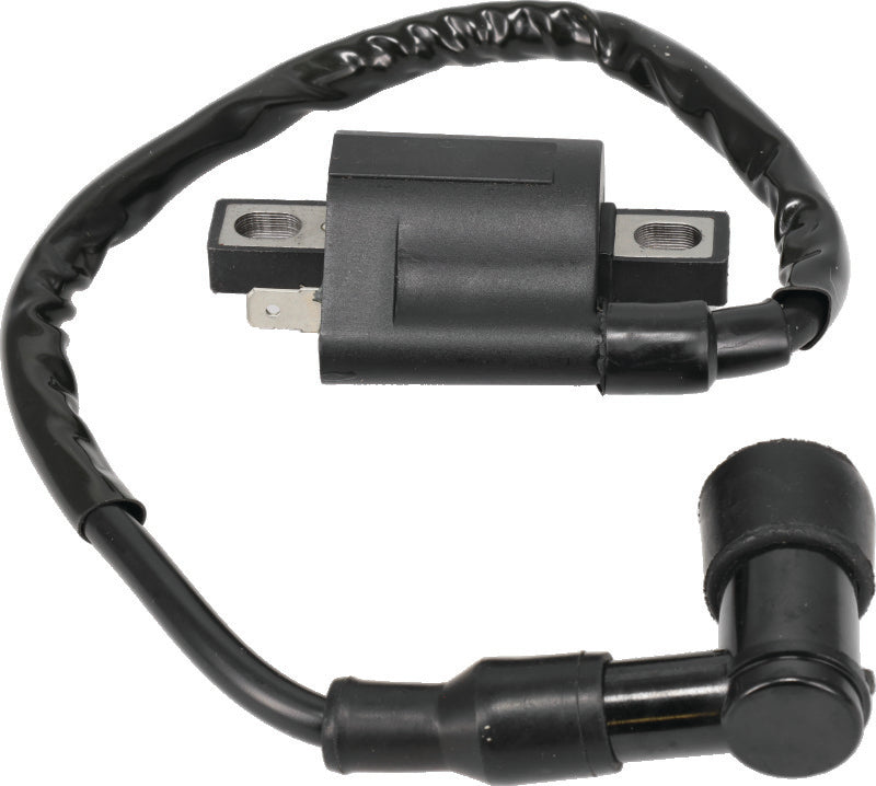 QuadBoss 04-05 Polaris ATP 330 4x4 Ignition Coil-tuningsupply.com