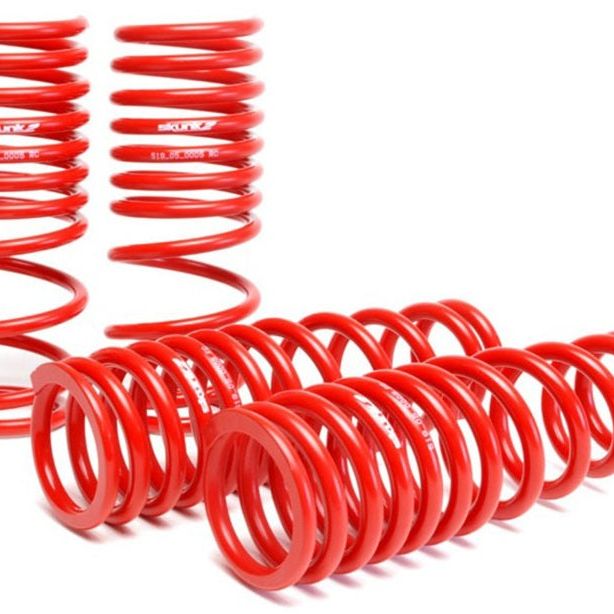 Skunk2 92-95 Honda Civic/Del Sol Lowering Springs (2.50in - 2.25in.) (Set of 4)-Lowering Springs-Skunk2 Racing-SKK519-05-1480-SMINKpower Performance Parts