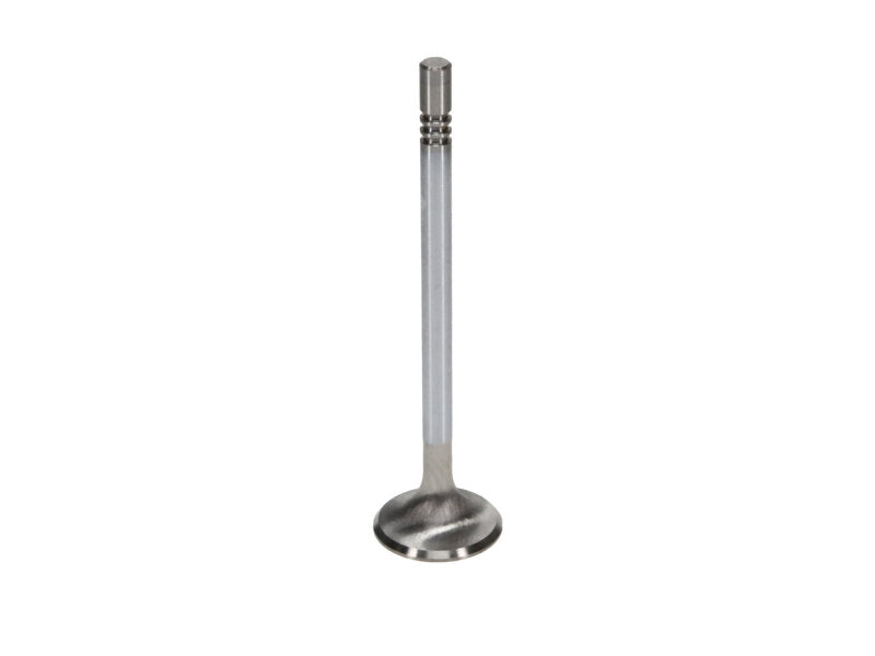

Manley Performance 12628-8 - MAN12628-8 - Manley Ford Modular Coyote 5.0L Gen III Race Master Series Intake Valve Set - 1.485in Dia - Shipped in Europe - Tuningsupply.com
