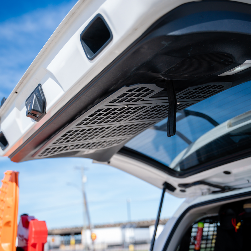 

Cali Raised LED CR4040 - CALCR4040 - Cali Raised Rear Hatch Molle Panel Fit 10-24 Toyota 4Runner - Shipped in Europe - Tuningsupply.com
