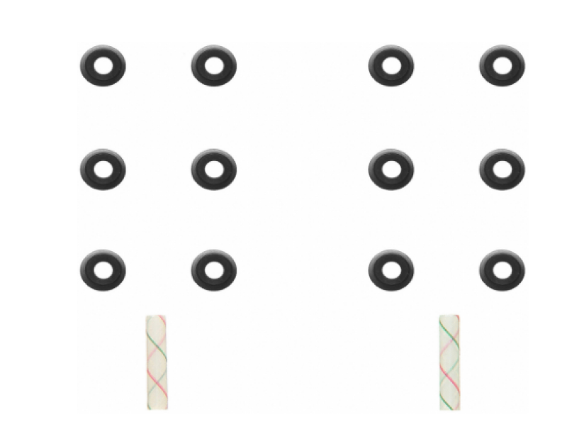 

Fel-Pro SS702832 - FELSS702832 - Fel-Pro 18-22 Acura NSX/07-14 TL/10-14 TSX/08-17 Honda Accord Engine Valve Stem Oil Seal Set - Shipped in Europe - Tuningsupply.com
