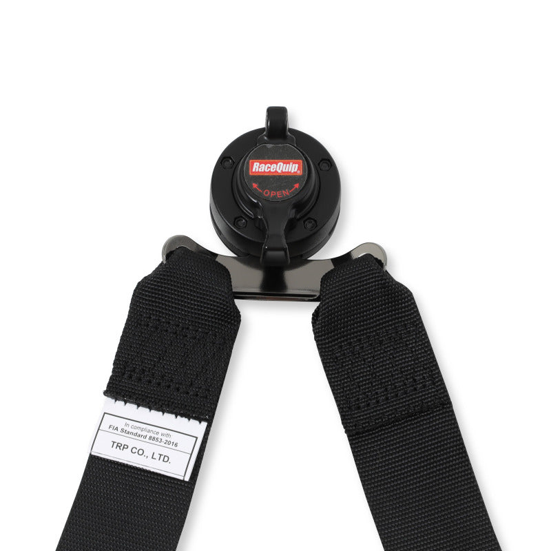

Racequip 855005RQP - RQP855005RQP - RaceQuip Black FIA CAMLOCK 6pt 2in Pull Down Lap FHR - Shipped in Europe - Tuningsupply.com
