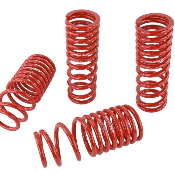 Skunk2 88-91 Honda Civic/CRX Lowering Springs (2.50in - 2.25in.) (Set of 4)-Lowering Springs-Skunk2 Racing-SKK519-05-1650-SMINKpower Performance Parts