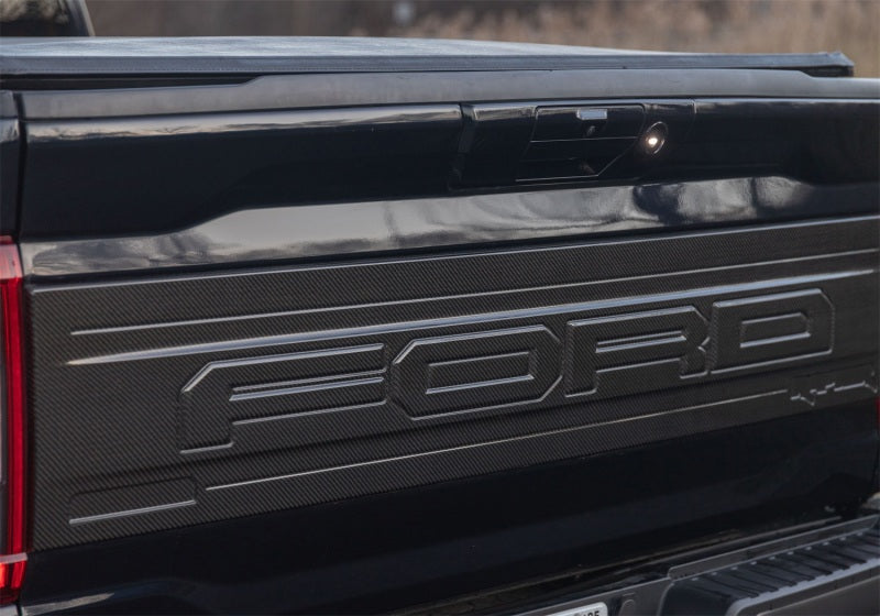 

Ford Racing M-16600-FG - FRPM-16600-FG - Ford Racing 21-24 Ford F150 Raptor Carbon Fiber Tailgate Panel - Gloss - Shipped in Europe - Tuningsupply.com
