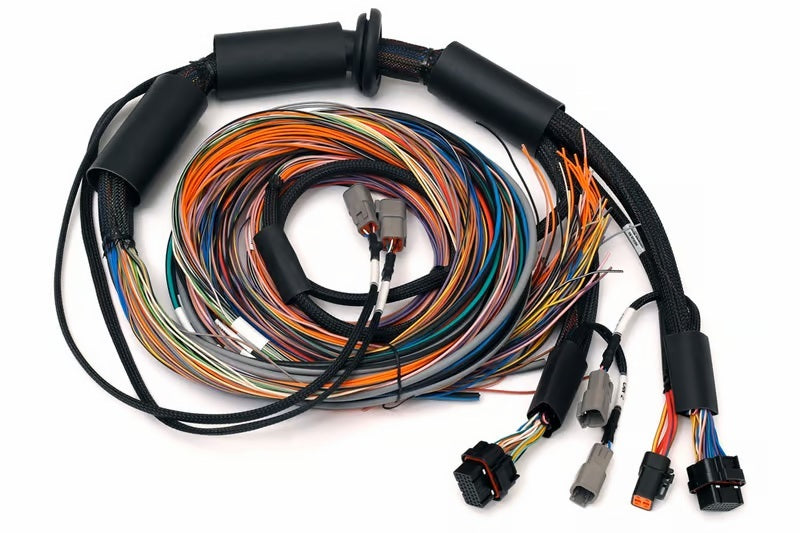 Haltech NEXUS R3 Universal Wire-In Harness - 2.5M (8ft)-tuningsupply.com