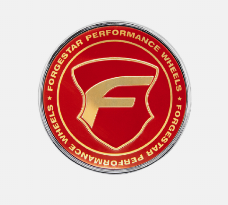 

Forgestar 10F1763CHGRG - FRG10F1763CHGRG - Forgestar 2.45in O-Ring Cap - Flat - Shipped in Europe - Tuningsupply.com
