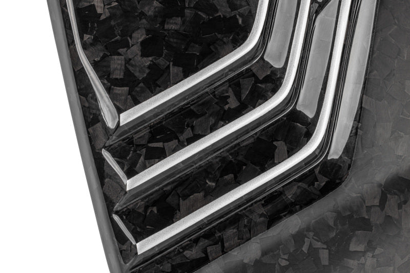 

APR MS100257 - APRMS100257 - APR 20-24 Audi Q7/Q8/RS Q8/SQ7/SQ8 (4M) 2.9T/3.0T/4.0T Forged Carbon Fiber Engine Cover - Shipped in Europe - Tuningsupply.com
