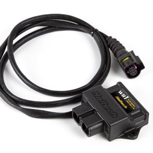 Haltech WB1 Single Channel CAN O2 Wideband Controller Kit-tuningsupply.com