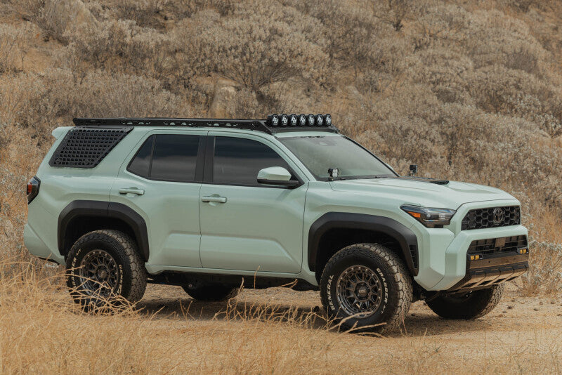 

DV8 Offroad RRTF3-02EMP - DVERRTF3-02EMP - DV8 Offroad 25-26 Toyota 4Runner Exterior Window Molles (Use w/ PN dveRRTF3-02) - Passenger - Shipped in Europe - Tuningsupply.com
