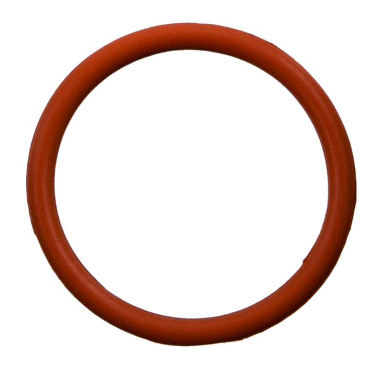 
  

Fel-Pro 36111 - FEL36111 - Fel-Pro 11-21 Ford F-150/11-17 Mustang Engine Coolant Thermostat Gasket - Shipped in Europe - Tuningsupply.com

