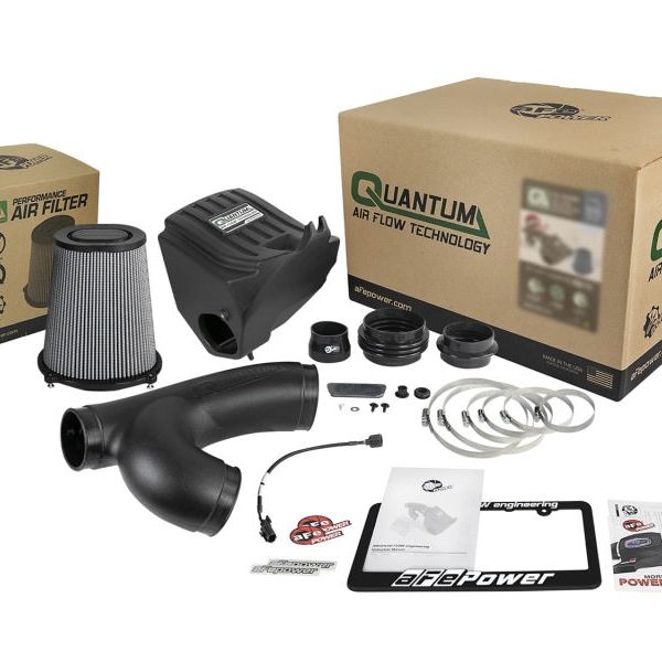 aFe Quantum Pro DRY S Cold Air Intake System 15-18 Ford F150 EcoBoost V6-3.5L/2.7L - Dry-tuningsupply.com