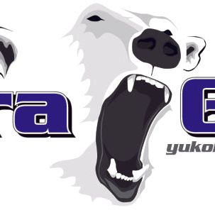 Yukon Gear Duragrip Posi For GM 8.2in w/ 28 Spline Axles / 3.08 and Up-Differentials-Yukon Gear & Axle-YUKYDGGM8.2-3-28-1-SMINKpower Performance Parts