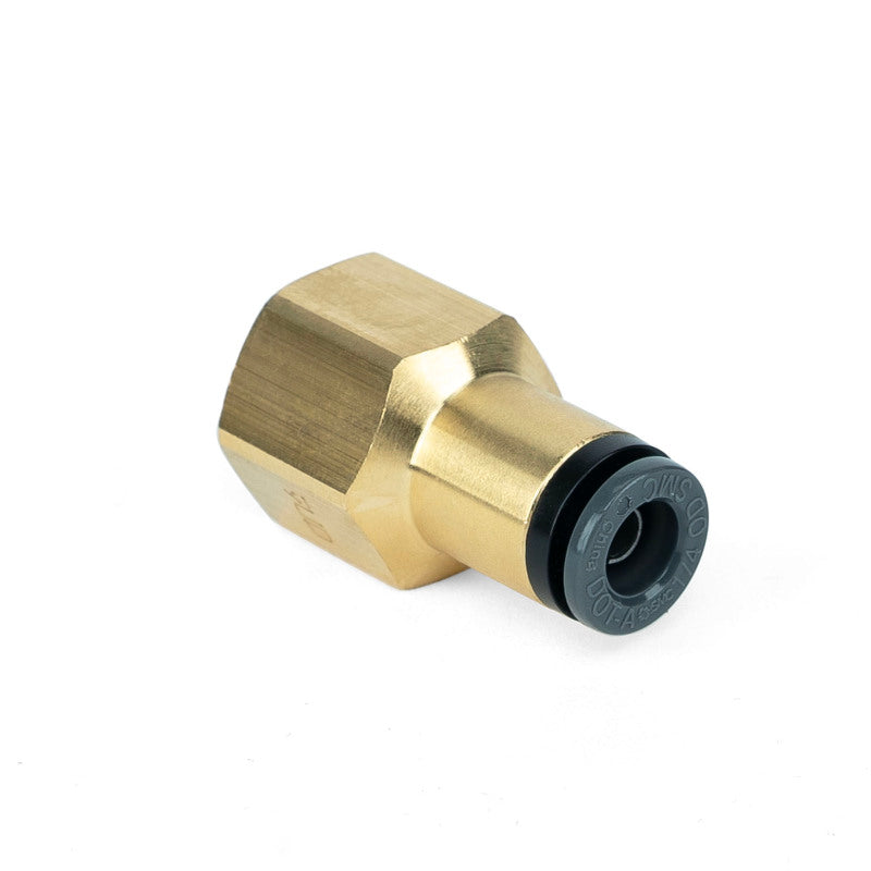 

Air Lift  - ALF21810 - Air Lift Straight Female - 1/4in FNPT X 1/4in PTC - Shipped in Europe - Tuningsupply.com
