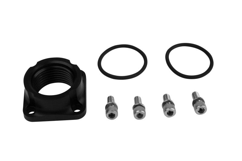 
    

Aeromotive 11746 - AER11746 - Aeromotive AN-12 Female Port Adapter (111-1507-0) (for 11115/11117) - Shipped in Europe - Tuningsupply.com

  