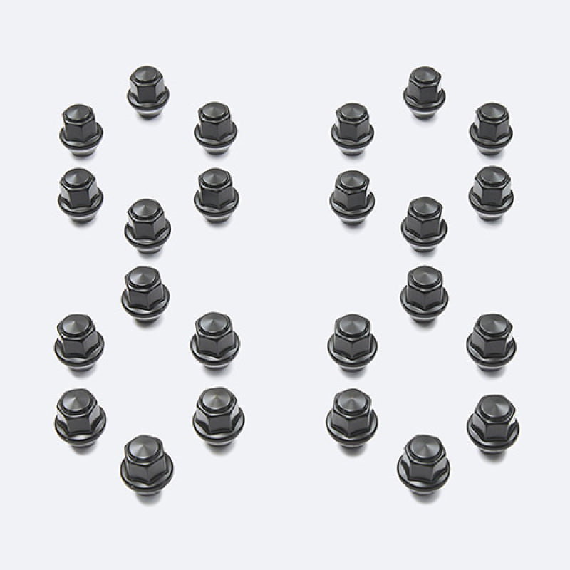 

Ford Racing M-1012K-F15B - FRPM-1012K-F15B - Ford Racing M14 x 1.5 Black Lug Nut - Set of 24 - Shipped in Europe - Tuningsupply.com
