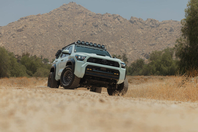 

DV8 Offroad RRTF3-02EMP - DVERRTF3-02EMP - DV8 Offroad 25-26 Toyota 4Runner Exterior Window Molles (Use w/ PN dveRRTF3-02) - Passenger - Shipped in Europe - Tuningsupply.com
