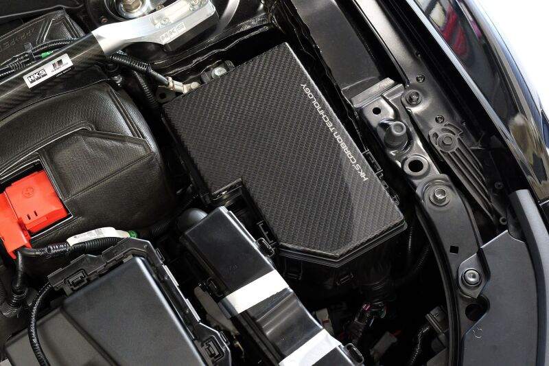 

HKS 70026-AH014 - HKS70026-AH014 - HKS DRY CARBON FUSE BOX COVER FL5 - Shipped in Europe - Tuningsupply.com

