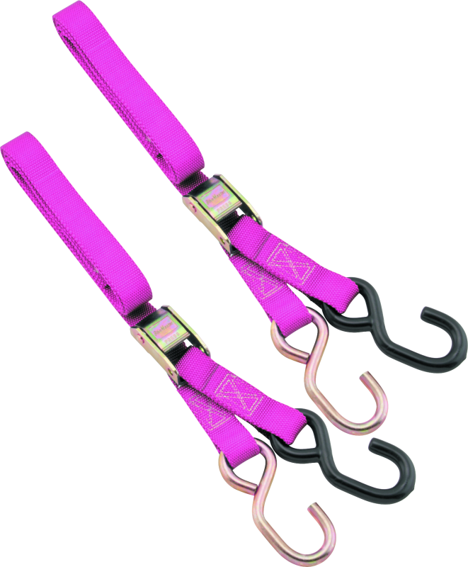 BikeMaster 1in Tiedown - Pink-tuningsupply.com