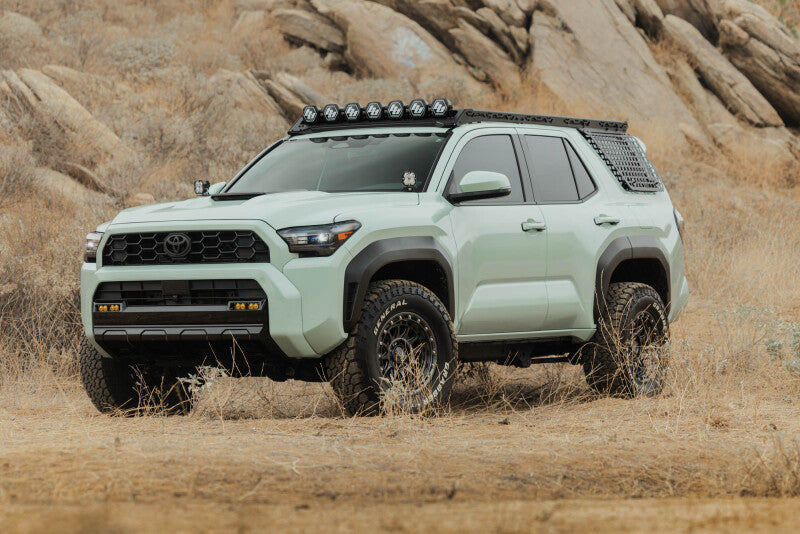 

DV8 Offroad RRTF3-02EMD - DVERRTF3-02EMD - DV8 Offroad 25-26 Toyota 4Runner Exterior Window Molle for DV8 Offroad Roof Rack - Driver - Shipped in Europe - Tuningsupply.com
