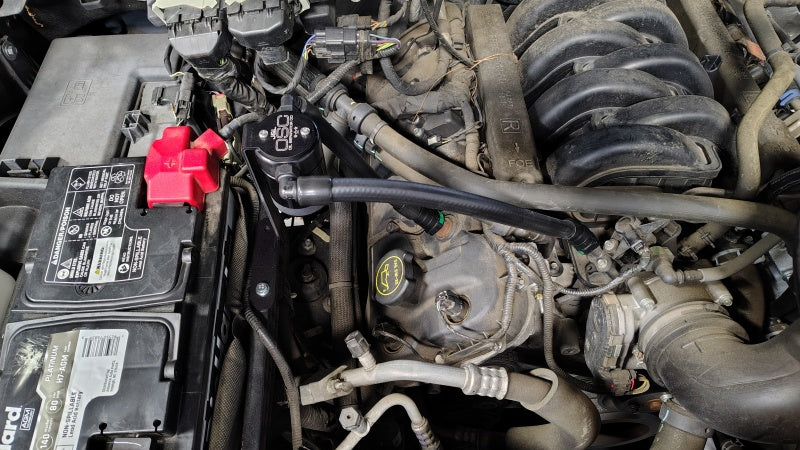 
    

J&L 3132P-B - JLT3132P-B - J&L 15-17 Ford F-150 5.0L Oil Separator 3.0 PCV Side - Black Anodized - Shipped in Europe - Tuningsupply.com

  