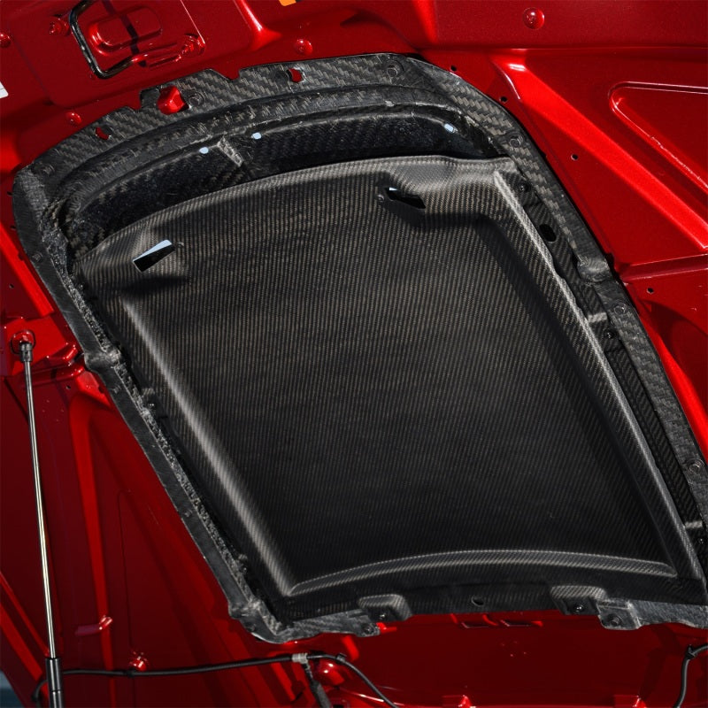 Ford Racing 20-22 Mustang GT500 Carbon Fiber Hood Vent Kit-tuningsupply.com