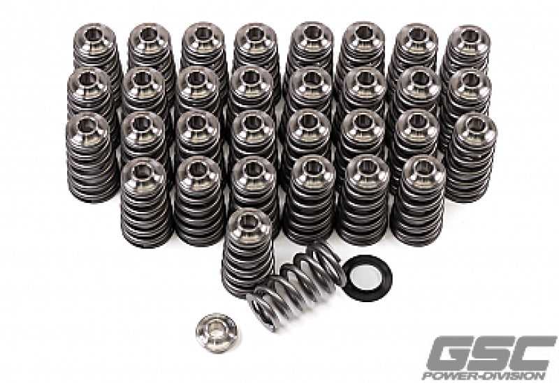 
  

GSC Power Division 5013 - GSC5013 - GSC P-D Ford 5.2L Voodoo/Predator Conical Spring & Ti Retainer Kit - Shipped in Europe - Tuningsupply.com

