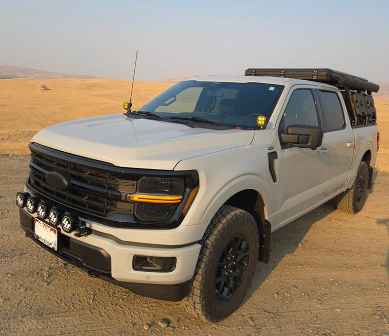 Rally Armor 21-25 Ford F-150 (Excl. Raptor) Black UR Mud Flap w/Metallic Black Logo