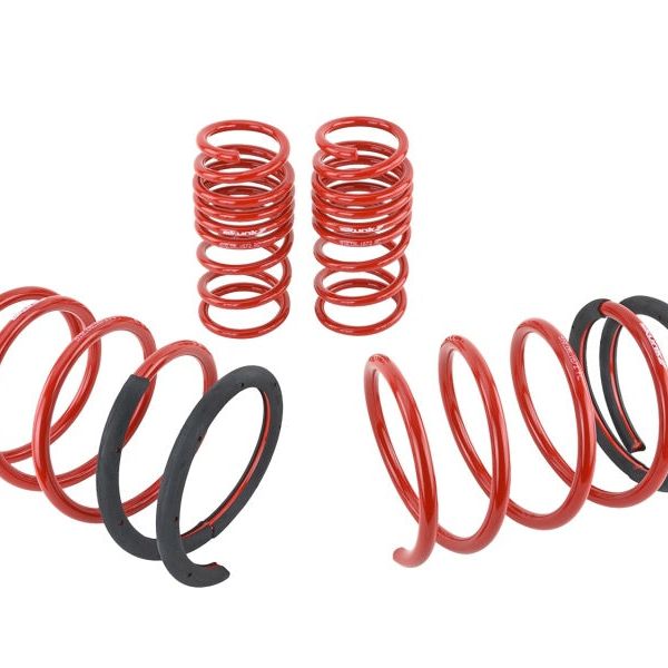 Skunk2 05-06 Acura RSX Lowering Springs (2.25in - 2.00in.) (Set of 4)-Lowering Springs-Skunk2 Racing-SKK519-05-1672-SMINKpower Performance Parts