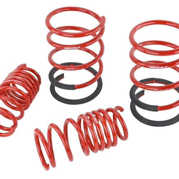 Skunk2 02-04 Acura RSX Lowering Springs (2.25in - 2.00in.) (Set of 4)-Lowering Springs-Skunk2 Racing-SKK519-05-1670-SMINKpower Performance Parts