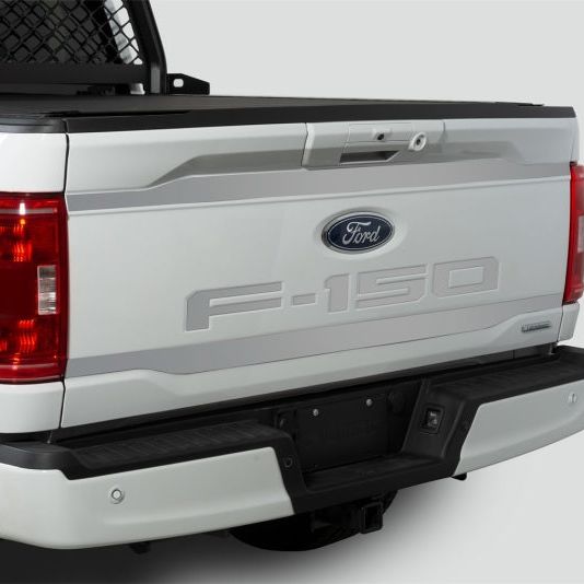 Putco 2021 Ford F-150 Ford Lettering (Cut Letters/Stainless Steel) Tailgate Emblems-tuningsupply.com