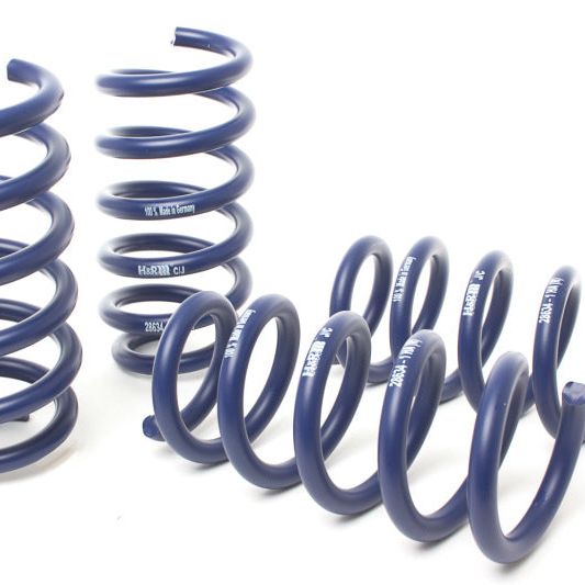 H&R 19-21 BMW X5 M50i/X5 xDrive40i/X5 xDrive50i G05 Sport Spring-tuningsupply.com