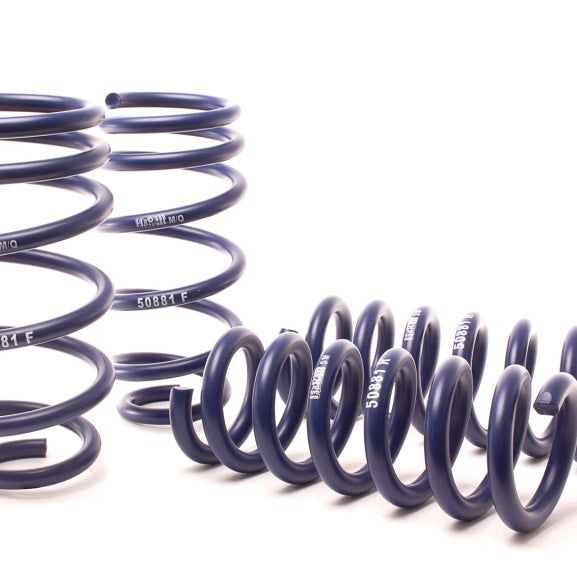 H&R 11-21 Dodge Charger SE/SXT/SXT Plus (2WD/4WD) Rallye/Plus/V6 Sport Spring-tuningsupply.com