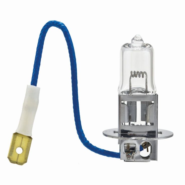 Hella H3 24V/70W PK22s T3.25 Halogen Bulb-tuningsupply.com