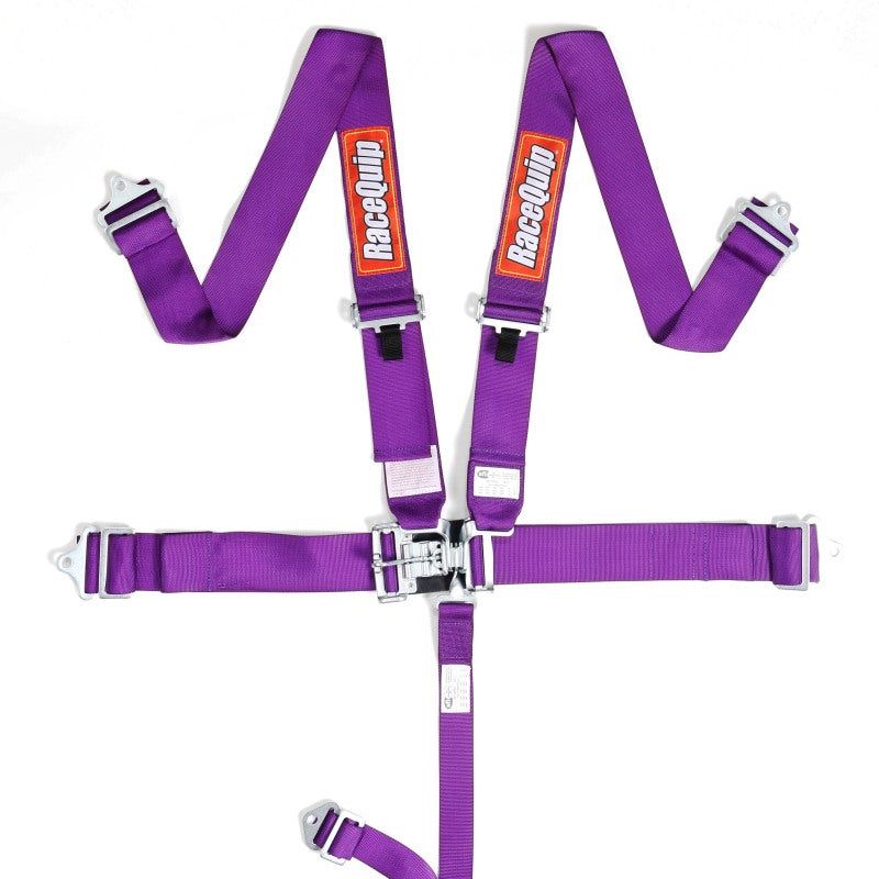 RaceQuip Purple L & L 5pt Seat Belt-tuningsupply.com