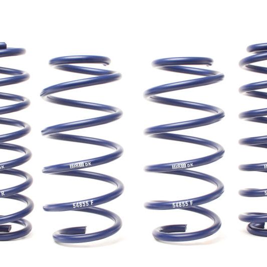 H&R 18-22 Volkswagen Tiguan/Tiguan 4MOTION (2WD/4WD) MQB Adventure Raising Spring-tuningsupply.com