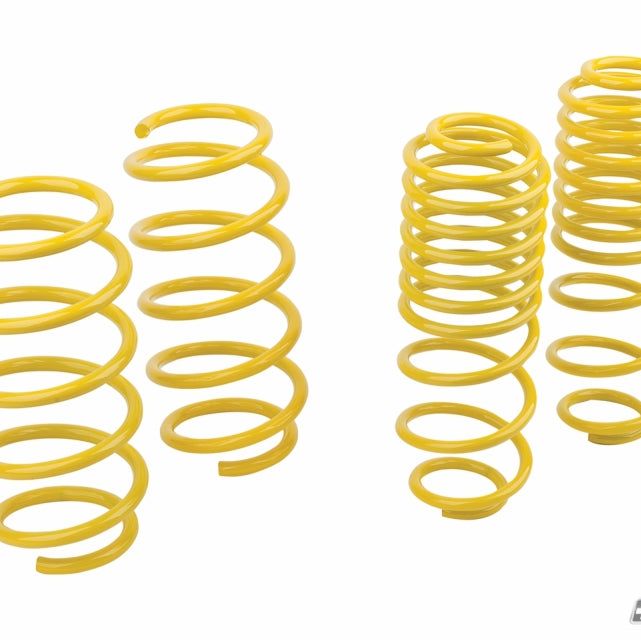 mountune Sport Spring Set 2014-2015 Fiesta ST-tuningsupply.com