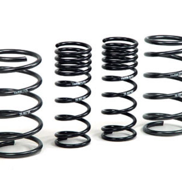 H&R 00-05 Ford Focus/Focus SVT DAW Sport Spring (Non Wagon)-tuningsupply.com