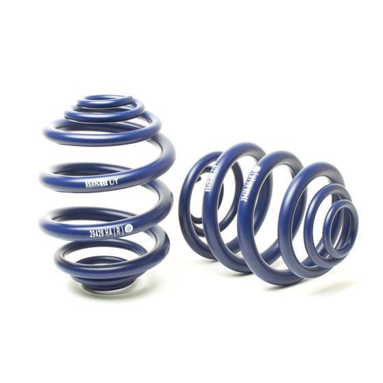 H&R 94-03 Volkswagen Eurovan T4 Sport Spring-tuningsupply.com