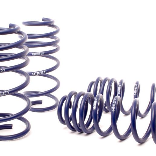 H&R 12-15 Volkswagen Passat Sedan 2.5L/1.8T/TDI/V6 OE Sport Spring (Non 4Motion)-tuningsupply.com