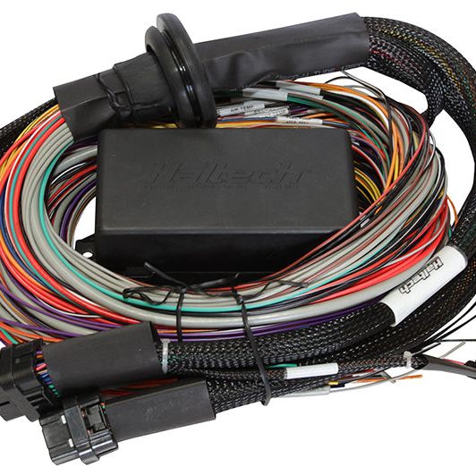 Haltech Elite 1500 8ft Premium Universal Wire-In Harness-tuningsupply.com