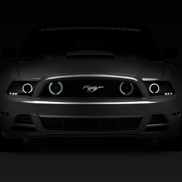 Raxiom 13-14 Ford Mustang GT CCFL Halo Fog Lights (Smoked) - SMINKpower Performance Parts RAX49177 Raxiom