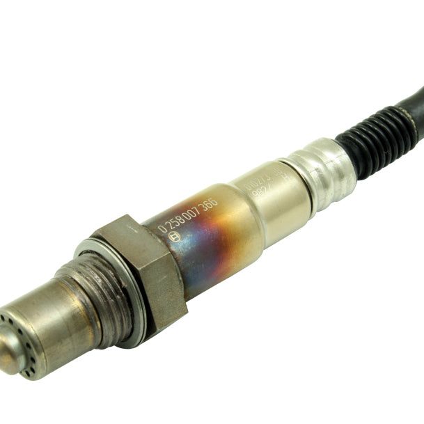 AEM Bosch UEGO Replacement Sensor-tuningsupply.com