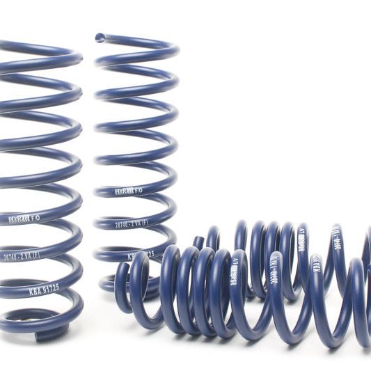 H&amp;R 17-18 Mercedes-Benz E400 4MATIC Coupe/E400 Coupe C238 Sport Spring (Incl Agility Control) RW-tuningsupply.com