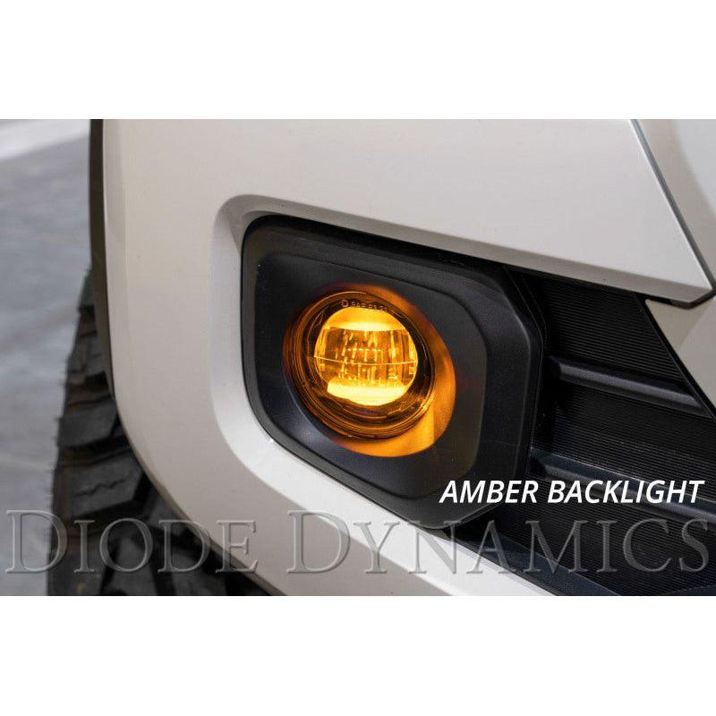 Diode Dynamics Elite Series Type B Fog Lamps - White (Pair)-tuningsupply.com